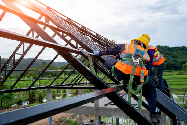 Roof Gutter Cleaning in Sutton, NE